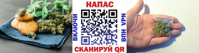 Canna-Cookies марихуана  Боровичи 