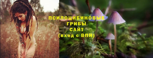 первитин Белокуриха