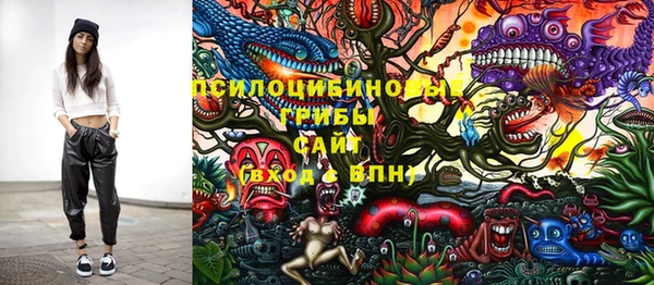 первитин Белокуриха