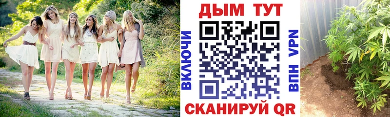 Марихуана гибрид Боровичи